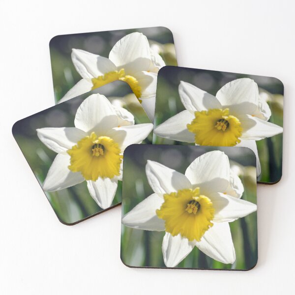 Item preview, Bathed in the Evening Sun designed and sold by Kasia Design.