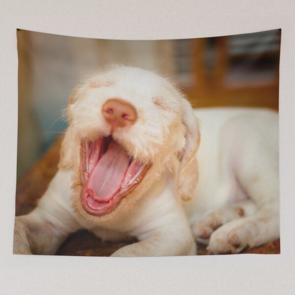 Item preview, Laughing puppy Spinone designed and sold by FOLK ART FUSION by heidiannemorris.