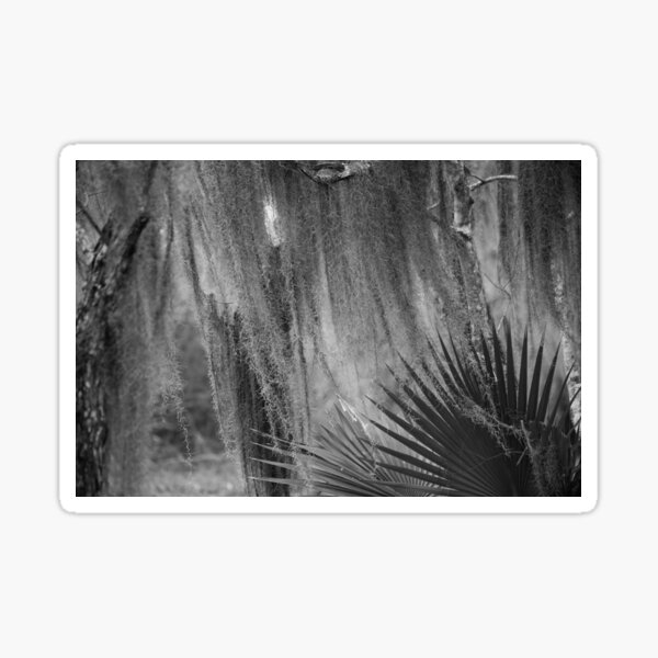 Item preview, Palmetto and Spanish Moss designed and sold by Allen Penton.