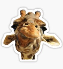 giraffe Sticker