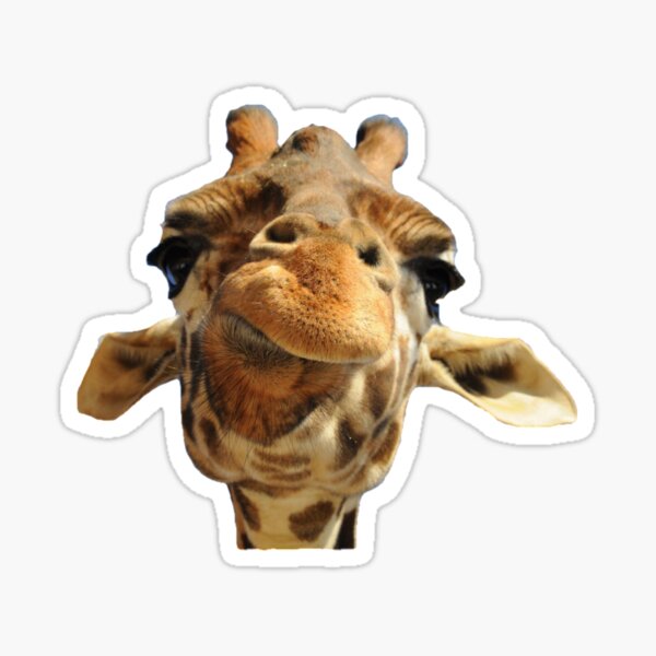 giraffe Sticker