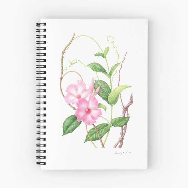 Item preview, Mandevilla splendens designed and sold by Laura Montserrat.