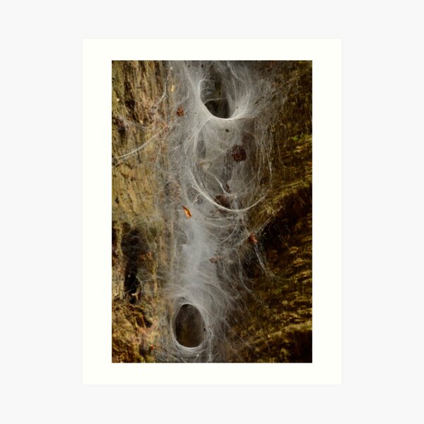 Website. Art Print