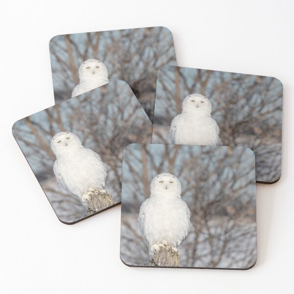 Item preview, Snowy Owl designed and sold by Simpsonwildlife.