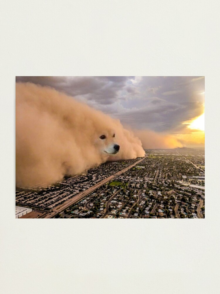 "Dust storm dog meme" Photographic Print for Sale by HangLooseDraft