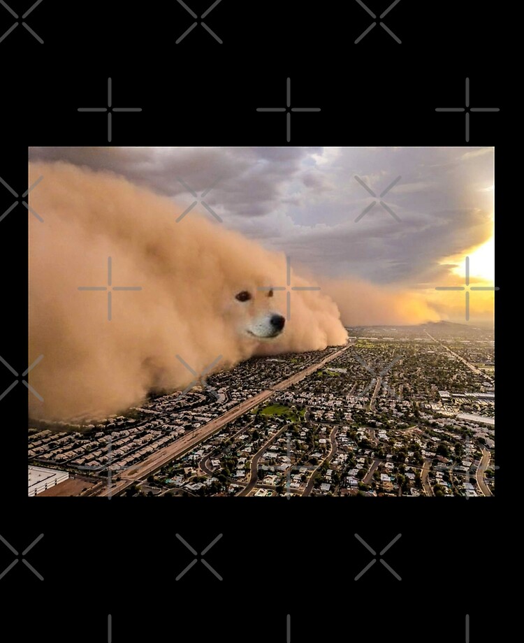 Dog Storm Meme | ubicaciondepersonas.cdmx.gob.mx