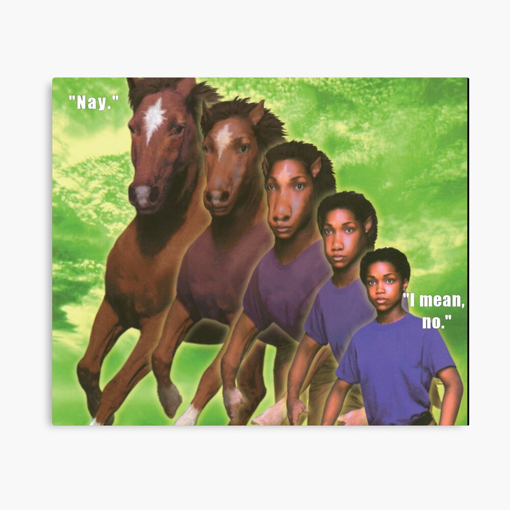 Featured image of post The Best 23 Animorphs Horse Meme