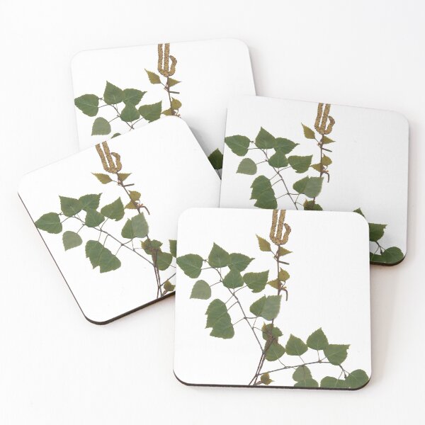 Item preview, Herbarium, birch, tree, plants, leaves, nature, forest designed and sold by tribesymbols.