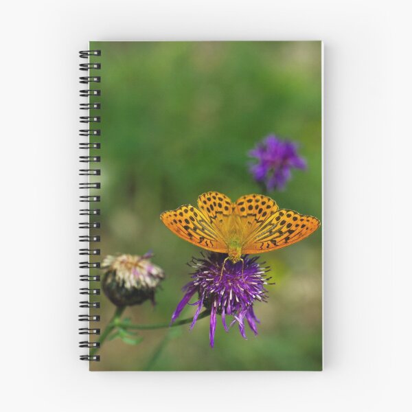 Item preview, Fritillary designed and sold by KGibbs.