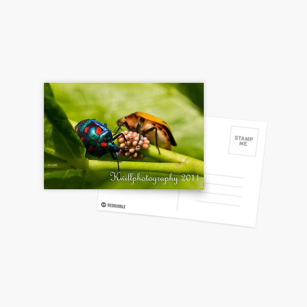 Mother & Father Care Postcard