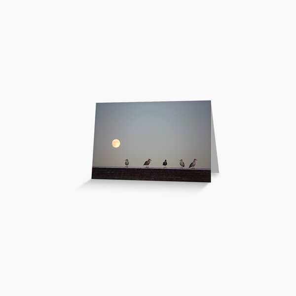 standing in the moonlight Greeting Card