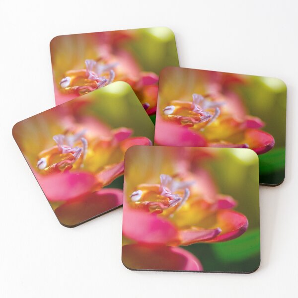 Item preview, Intimate Details designed and sold by Kasia Design.