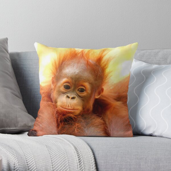 und diesen orangefarbenen Affen passieren sogar schlechte Haartage. Der Orang-Utan ist eines meiner absoluten Lieblingstiere und ich hatte das Vergnügen, diese entzückenden Tiere in der Wildnis von Borneo zu sehen und mit ihnen zu arbeiten Dekokissen