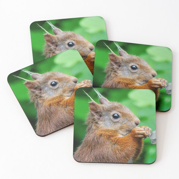 Item preview, The Red Squirrel. designed and sold by AlbaPhotography.
