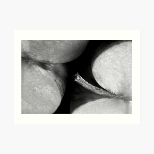 Applethorpe (STRONG SEXUAL METAPHOR) Art Print