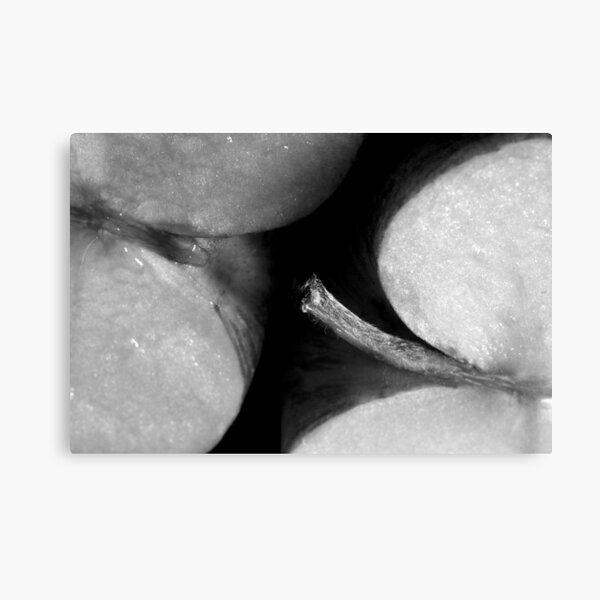 Item preview, Applethorpe (STRONG SEXUAL METAPHOR) designed and sold by Darren Bailey LRPS.