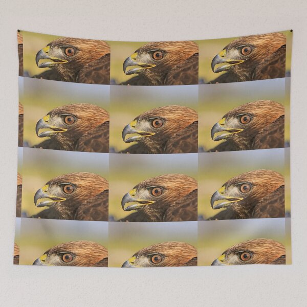 Item preview, Red Tail Hawk - Family:  Accipitriformes designed and sold by Buckwhite.