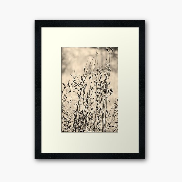 Remembering back - Kitty Todd Nature Preserve Framed Art Print