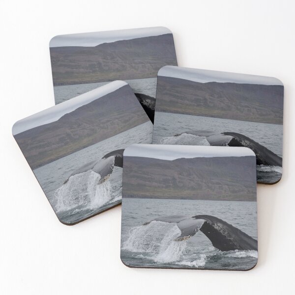 Item preview, Humpback whale in Eyjafjordur, Iceland designed and sold by elisainiceland.