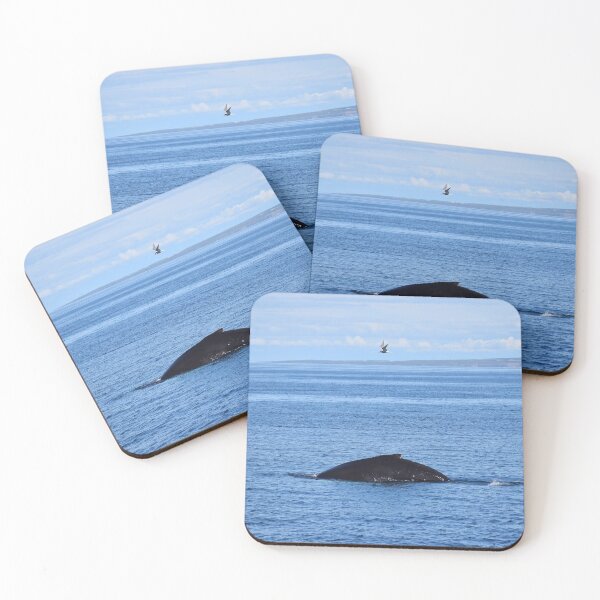 Item preview, Whale and arctic tern in North Iceland designed and sold by elisainiceland.