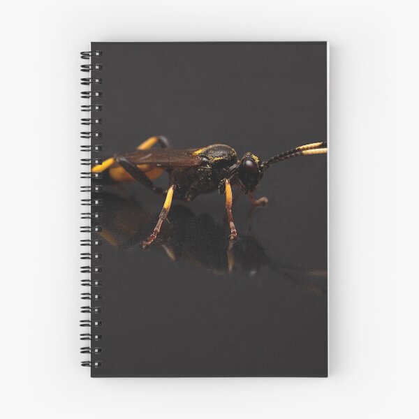 Item preview, Ichneumon stramentor Portrait designed and sold by Dan Newton.
