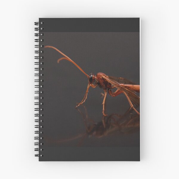 Item preview, Ophion ventricosus Portrait designed and sold by Dan Newton.