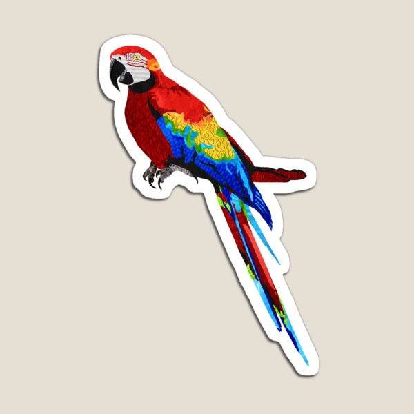 Parrot - Laudea Martin Magnet