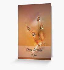 Moss Greeting Card