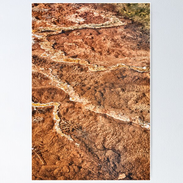 Item preview, Fingers designed and sold by kurtbowmanphoto.