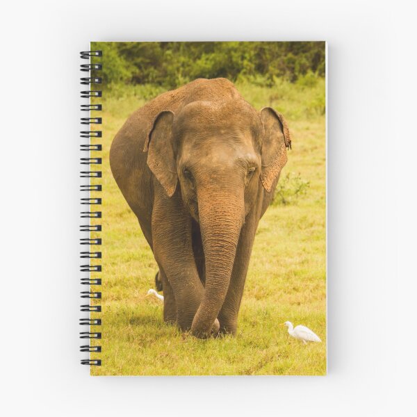 Item preview, Lone Elephant designed and sold by Mike Garner.