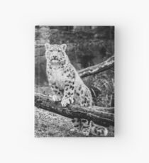 Snow Leopard Cubs Hardcover Journal