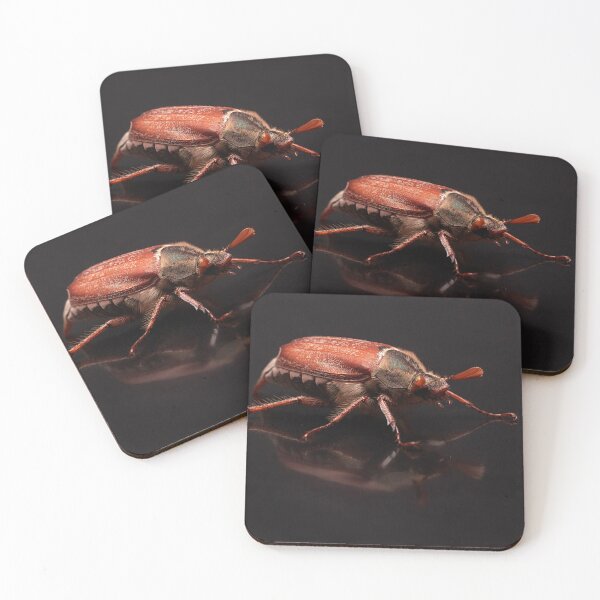 Item preview, Common Cockchafer Portrait designed and sold by Dan Newton.