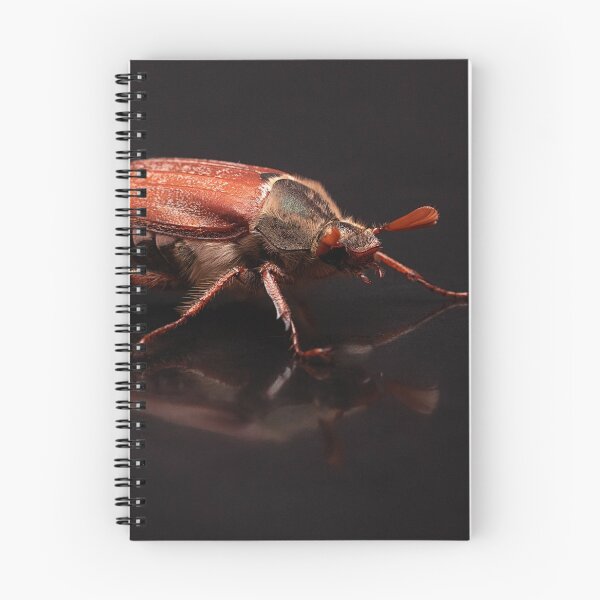 Item preview, Common Cockchafer Portrait designed and sold by Dan Newton.