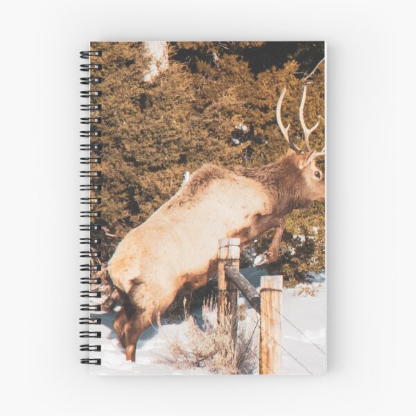 Item preview, Bull Elk saltando una valla designed and sold by FreelanceJim.