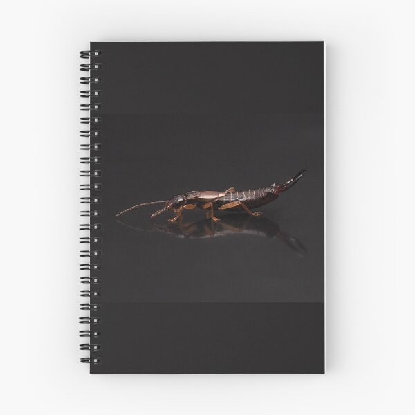 Item preview, European Earwig Portrait designed and sold by Dan Newton.