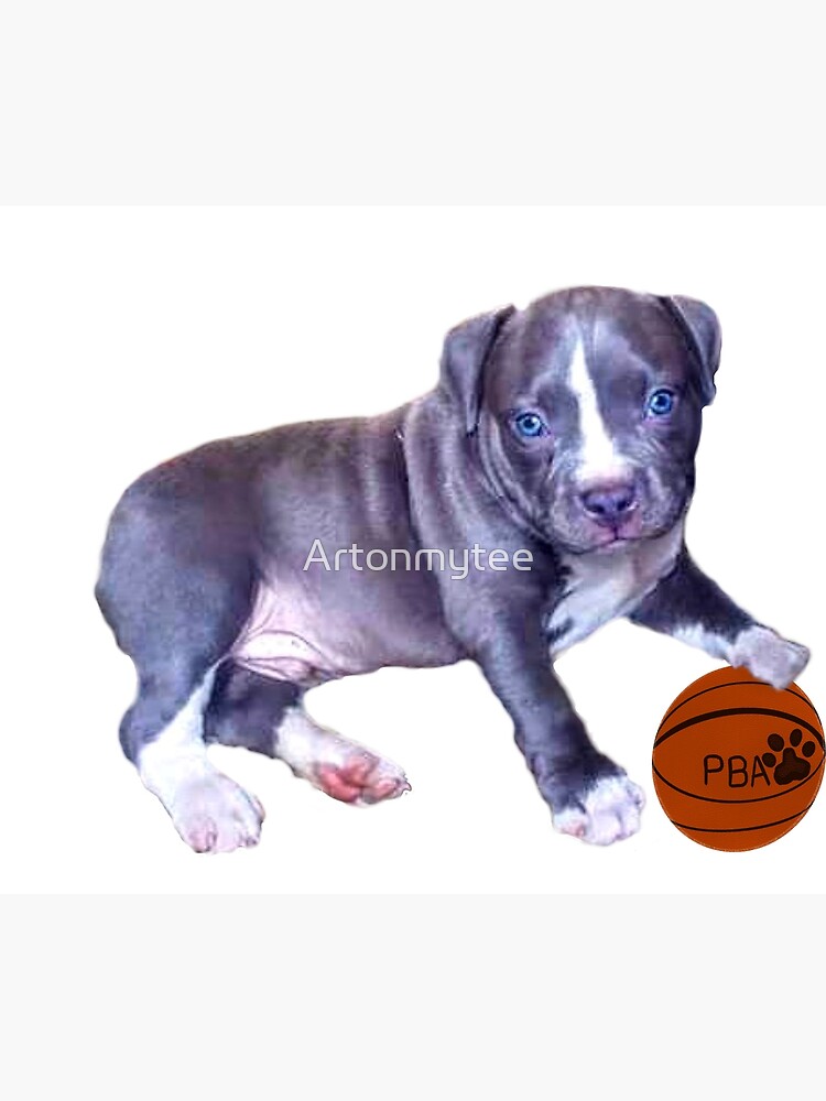 Fashion blue line pitbull puppies for