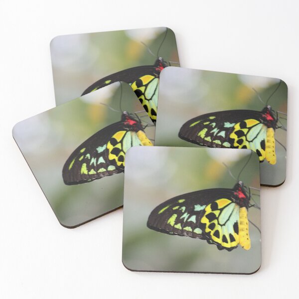 Item preview, Cairns Birdwing Butterfly designed and sold by Linda Sijpkes.