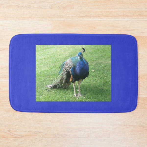 Item preview, Pretty Posing Peacock Photograph designed and sold by naturegallery.