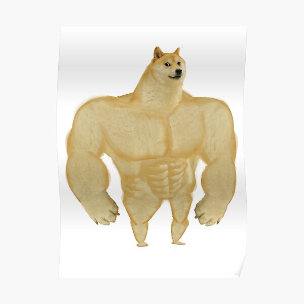 Swole Doge Posters | Redbubble