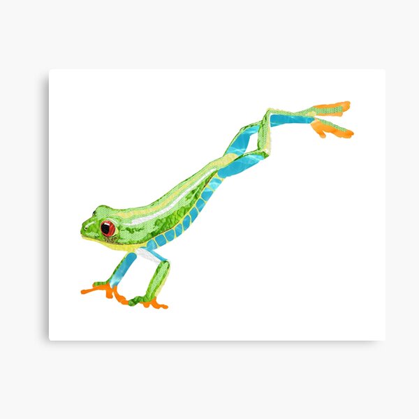 Frog - Laudea Martin Canvas Print