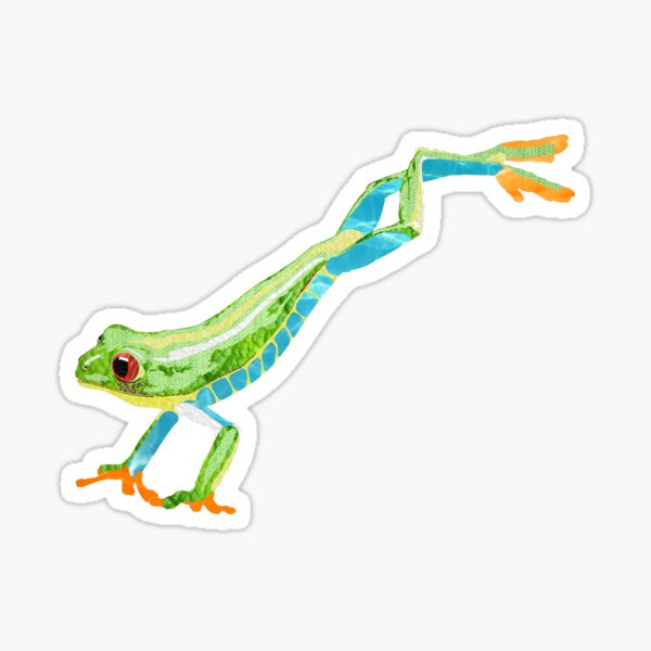 Fringe Tree Frog Stickers – Jurassic Reptile Supply