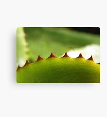 spiked I Canvas Print