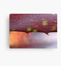 spiked II Canvas Print