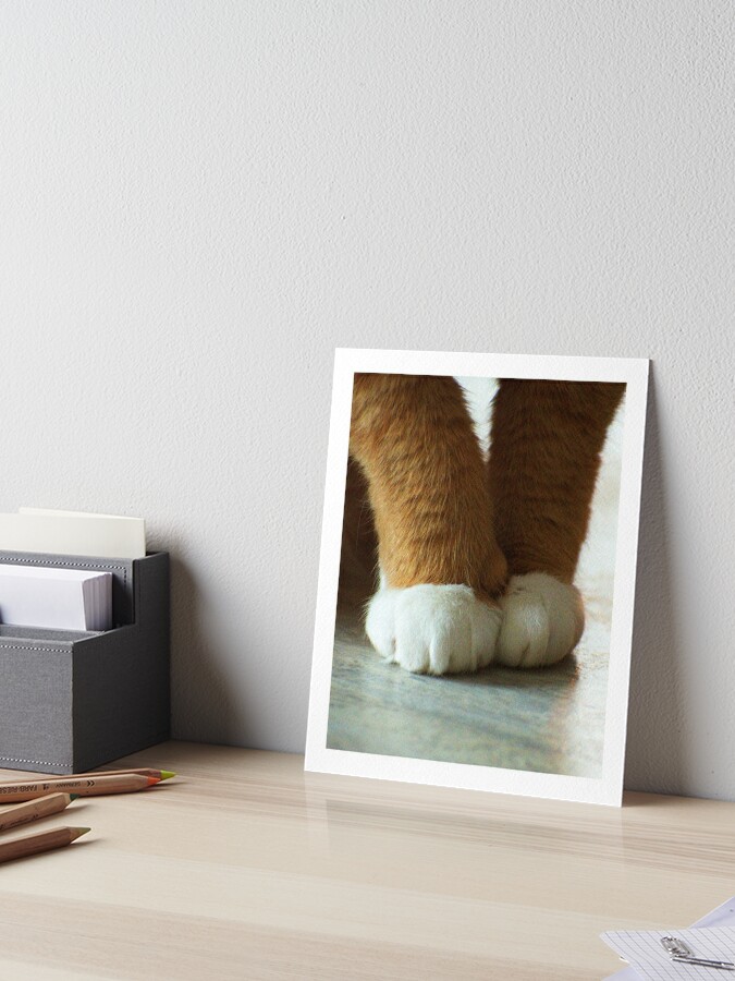 Cats Paws Art Board Print By Mxdovahofficial Redbubble
