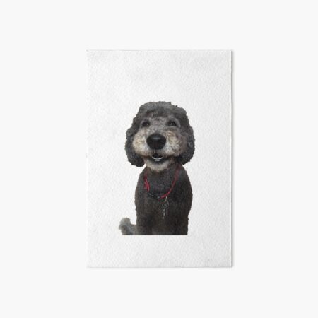 black goldendoodle art