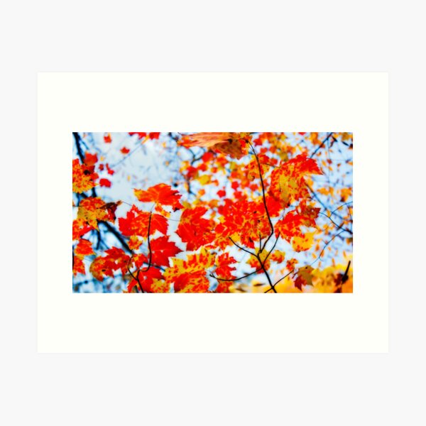 Autumn Dream Art Print