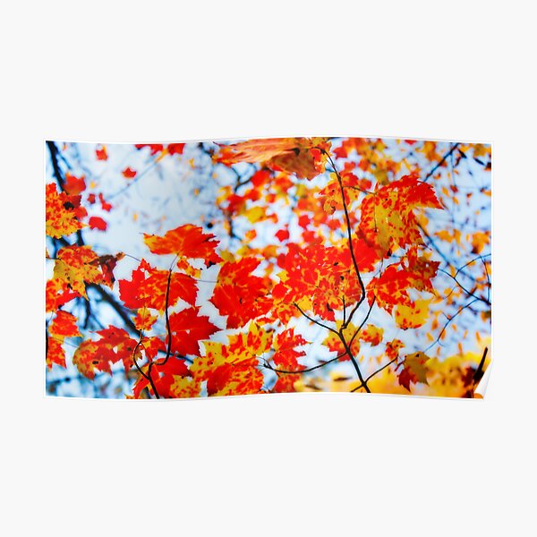 Autumn Dream Poster