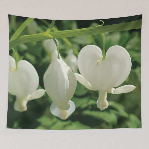 Item preview, White Bleeding Hearts designed and sold by Diane Petker.