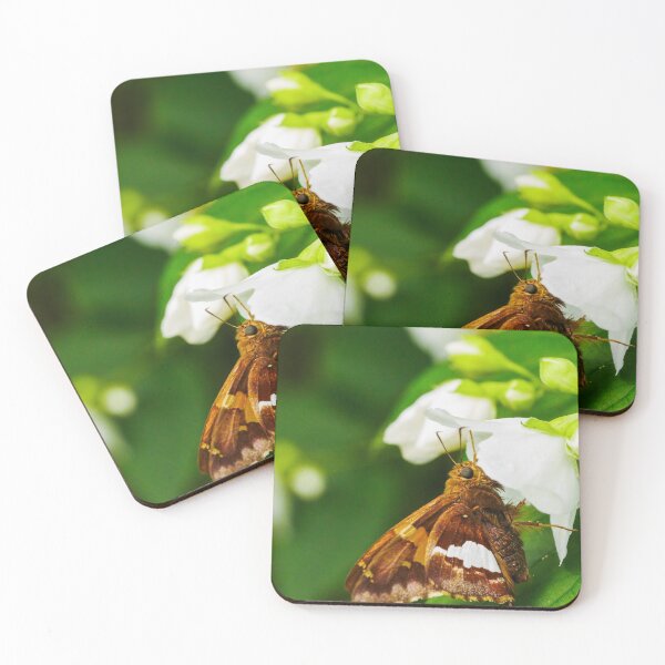 Item preview, Moth on White Flower designed and sold by HectorCantres.