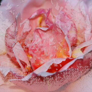 Artwork thumbnail, Rose by Roswitha Lorz